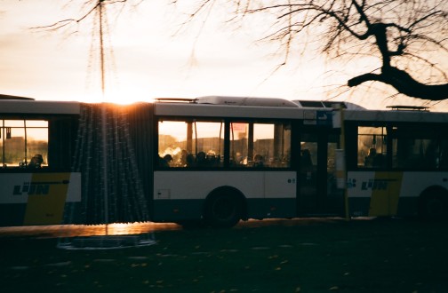 bus de lijn