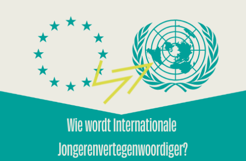 VN en EU verkiezing card
