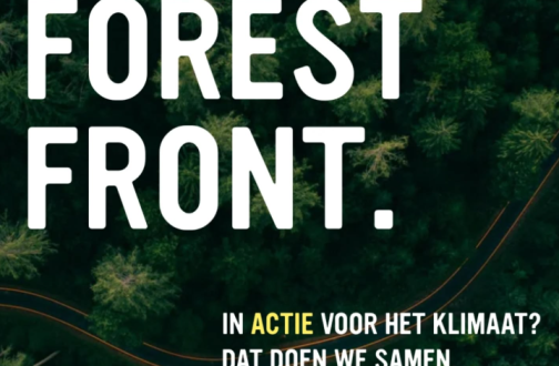 Forest Front (2)